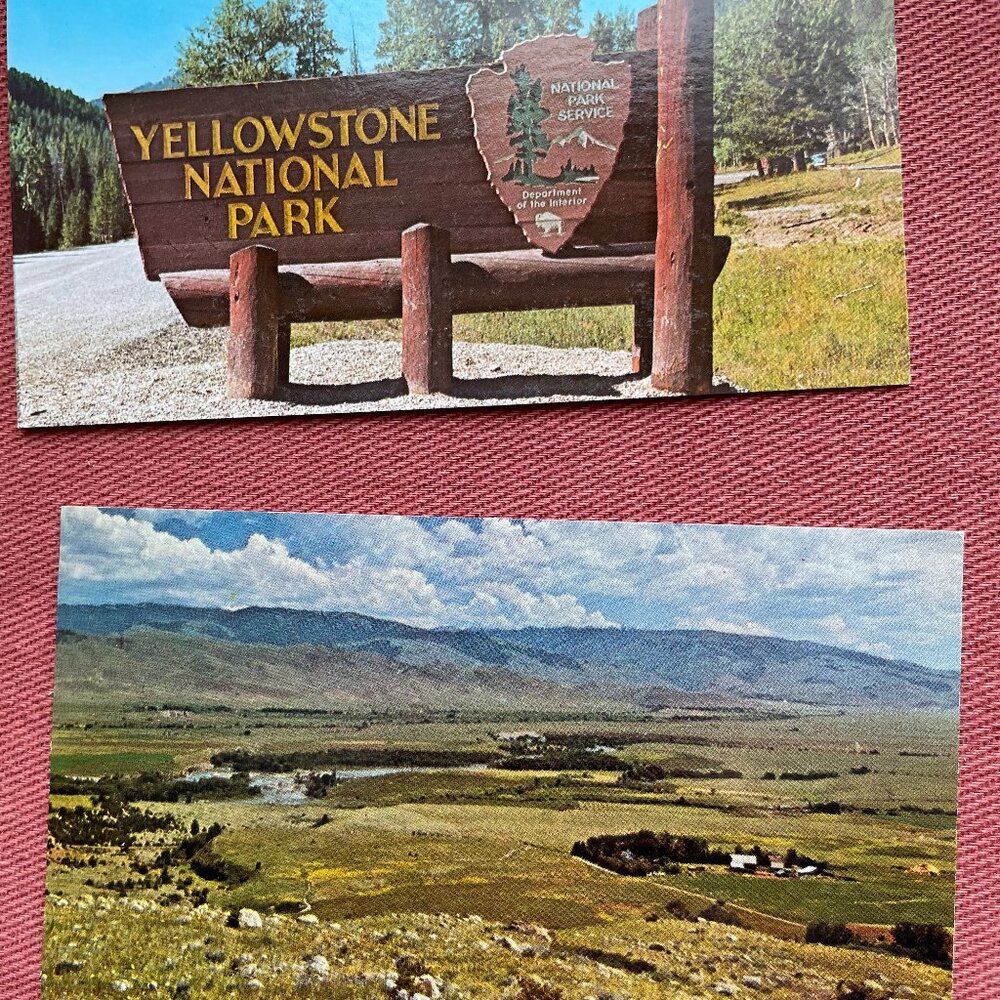 Lot of 7 Vintage Postcards Yellowstone National Park Unused